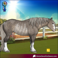 Horse Color:Silver Smoky Grullo Rabicano 