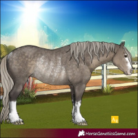 Horse Color:Silver Smoky Grullo Rabicano 