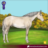 Horse Color:Silver Buckskin Pearl Dun Appaloosa Rabicano 