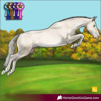 Horse Color:Silver Buckskin Pearl Dun Appaloosa Rabicano
