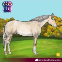 Horse Color:Silver Buckskin Pearl Dun Appaloosa Rabicano