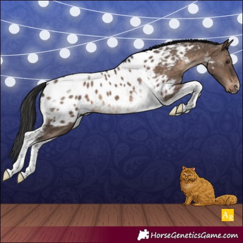 Horse Color:Brown Dun Tobiano Near Leopard 