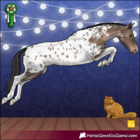 Horse Color:Brown Dun Tobiano Near Leopard 