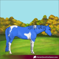 Horse Color:Watercolor Black Tobiano