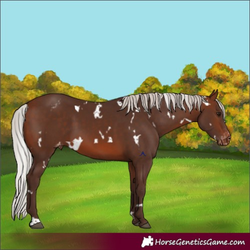 Horse Color:White Spotted Silver Brown Mushroom Varnish 