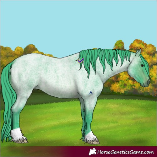 Horse Color:Watercolor Brown Roan 