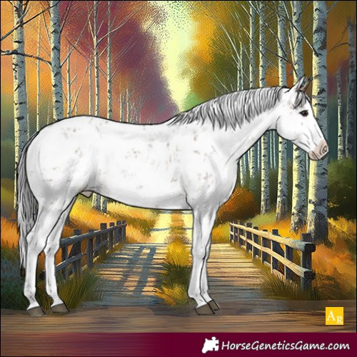 Horse Color:White Spotted Brown Dun Sabino 