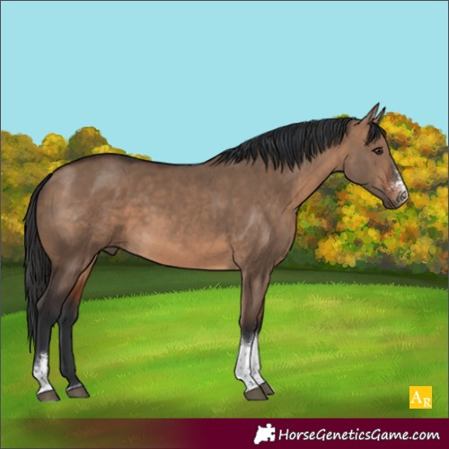 Horse Color:Brown Dun Sabino Tobiano 