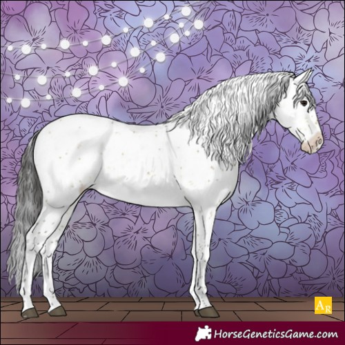 Horse Color:Buckskin Dun Sabino