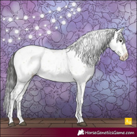 Horse Color:Buckskin Dun Sabino