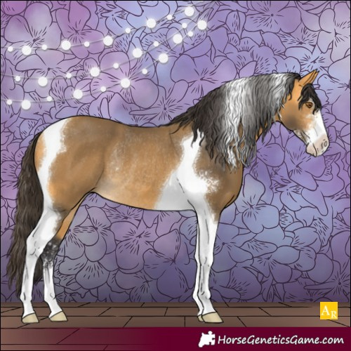 Horse Color:Buckskin Sabino Tobiano Rabicano 