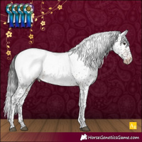 Horse Color:Brown Sabino Snowcap Rabicano
