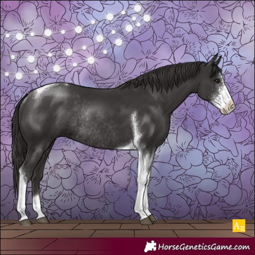 Horse Color:Smoky Black Sabino Tobiano Rabicano