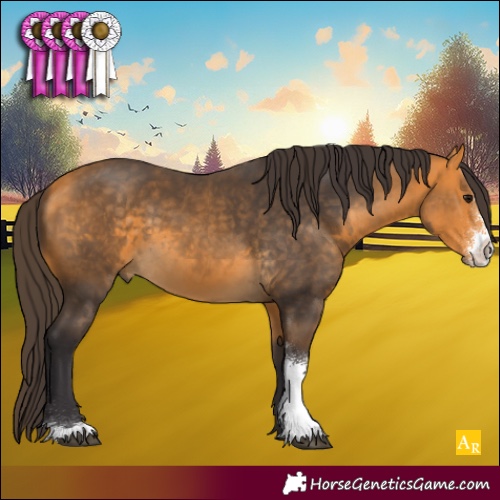 Horse Color:Buckskin Sabino