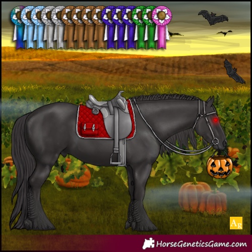 Horse Color:Smoky Black