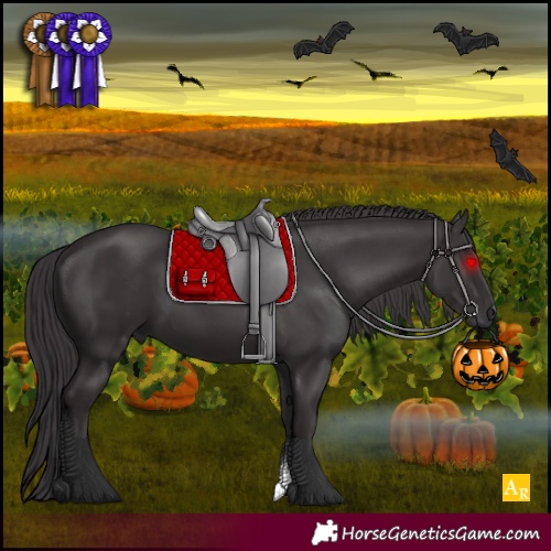 Horse Color:Smoky Black 