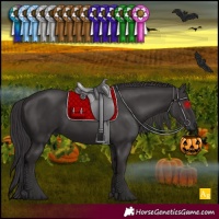 Horse Color:Smoky Black