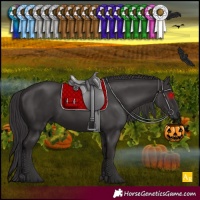 Horse Color:Smoky Black 