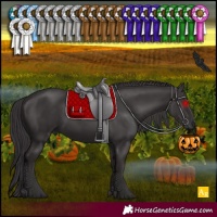 Horse Color:Smoky Black