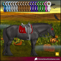 Horse Color:Smoky Black 