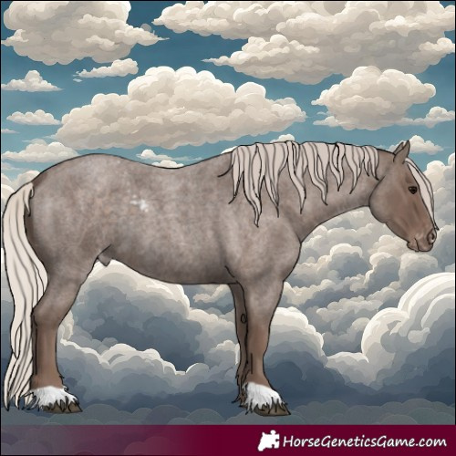 Horse Color:Silver Blue Roan Skewed Appaloosa 