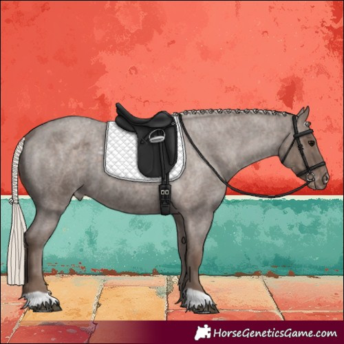 Horse Color:Silver Blue Roan Skewed LP Spotted 