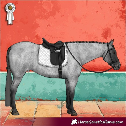 Horse Color:Blue Roan Skewed LP Spotted 