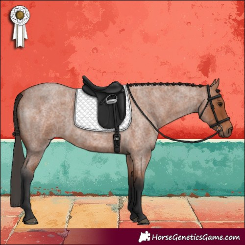 Horse Color:Bay Roan 