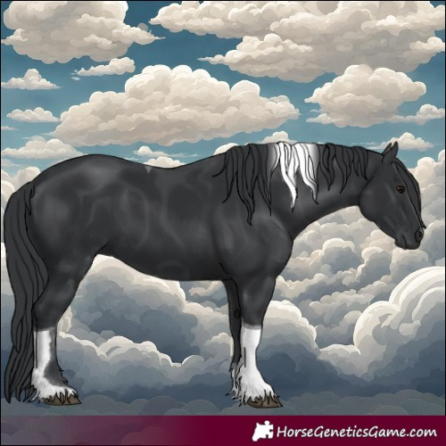 Horse Color:Black Tobiano 