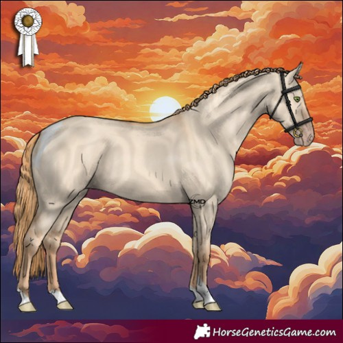 Horse Color:Gold Champagne Dun Tobiano 