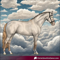 Horse Color:Gold Champagne Dun Tobiano 