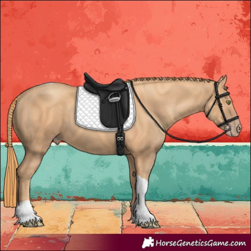 Horse Color:Gold Champagne Tobiano 