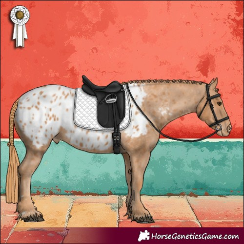 Horse Color:Chestnut Near Leopard 
