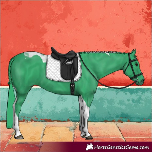 Horse Color:Watercolor Black Tobiano 