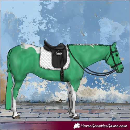 Horse Color:Watercolor Black Tobiano 