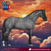 Horse Color:Blue Roan 
