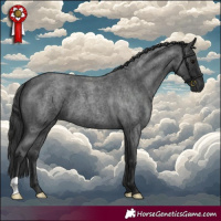 Horse Color:Blue Roan 