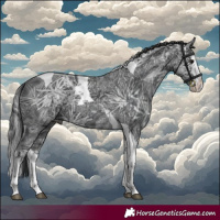 Horse Color:Black Ice Splash Tobiano 