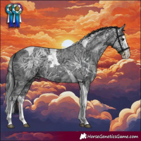Horse Color:Black Ice Splash Tobiano