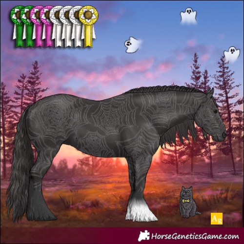Horse Color:Smoky Black 