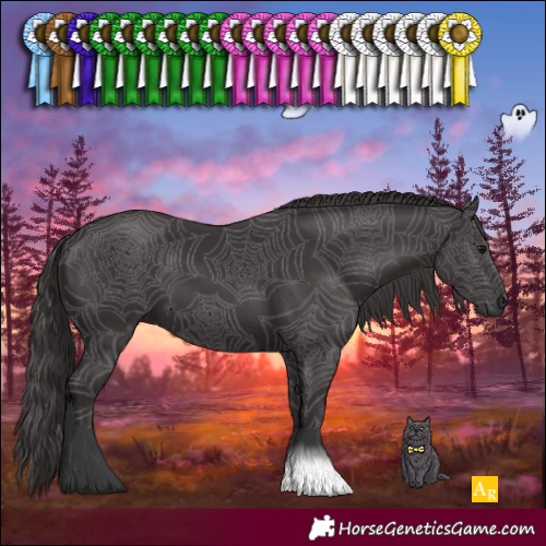 Horse Color:Smoky Black 