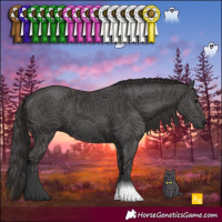 Horse Color:Smoky Black