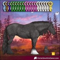 Horse Color:Smoky Black