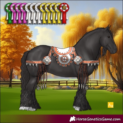 Horse Color:Smoky Black