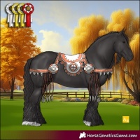 Horse Color:Smoky Black 