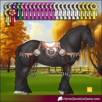 Horse Color:Smoky Black