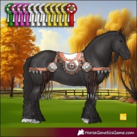 Horse Color:Smoky Black 