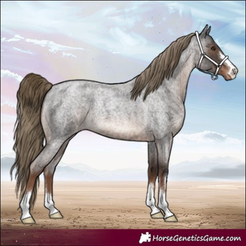 Horse Color:Liver Red Roan Varnish 