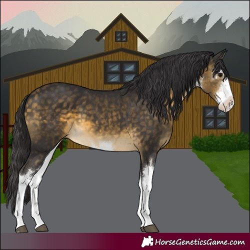 Horse Color:White Spotted Buckskin