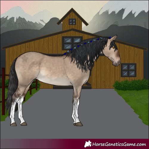 Horse Color:White Spotted Brown Dun 